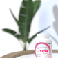 Oveta Advanced - WOMEN Fertility - REX Genetics, LLC