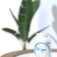 Oxper Motility - MEN Fertility - REX Genetics, LLC